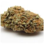 Шишки AK47 (Гидропоника, Бошка) VHQ в Сургуте Шишки AK47 (Гидропоника, Бошка) VHQ в Сургуте